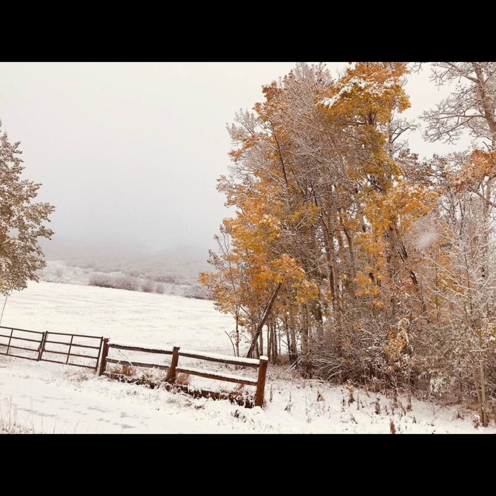 Meet your Posher, Silvia